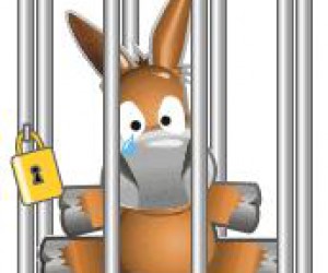 Emule en prison