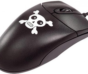 Souris pirate