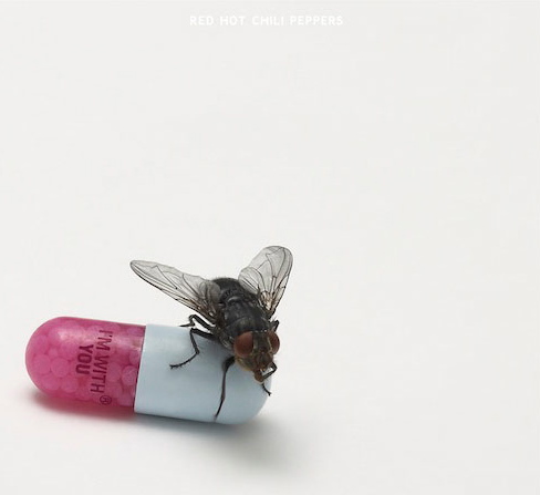 Red Hot Chili Peppers - Im with you