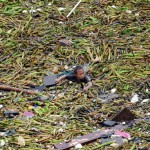 Un jeune enfant nage dans les débris après une tempête tropicale à Manille