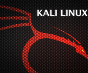 Kali Linux (Backtrack)