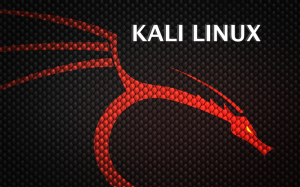 Kali Linux (Backtrack)