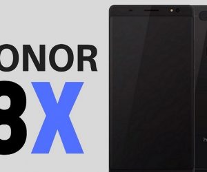 Honor 8X