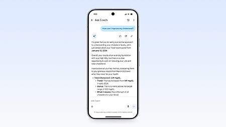 Gemini Fitbit France