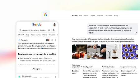 Aperçus IA Google en France